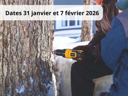 Entaillage et désentaillage des érables