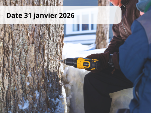 Entaillage et désentaillage des érables