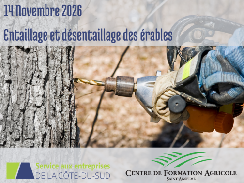 Entaillage et désentaillage des érables