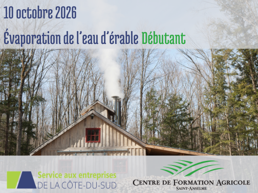 Évaporation de l’eau d’érable-Débutant