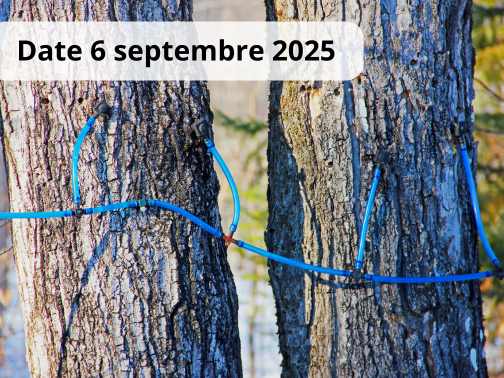 Planification du réseau de tubulure – avancé