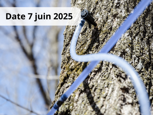 Planification du réseau de tubulure – DÉBUTANT