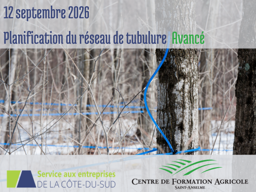 Planification du réseau de tubulure – avancé