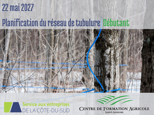Planification du réseau de tubulure – DÉBUTANT