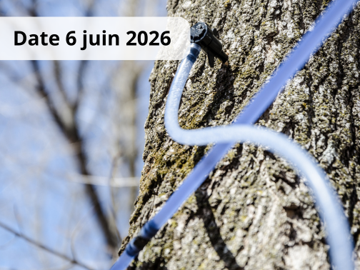 Planification du réseau de tubulure – DÉBUTANT
